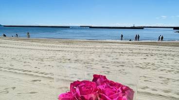 シティ ビュー / 12