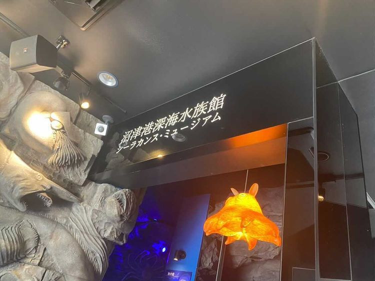 naoe.colonさんの写真 / 2