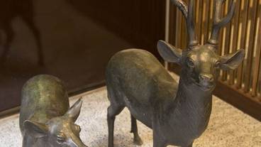 施設の入り口 / 7