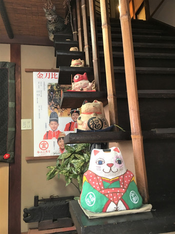 看板猫に出会えたらラッキー♡家庭的な雰囲気の宿3515984