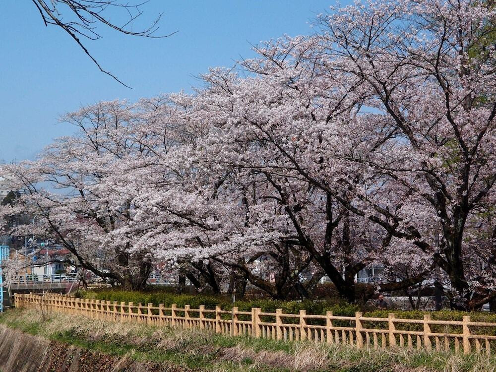施設からの眺望