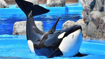 観光スポット / 9