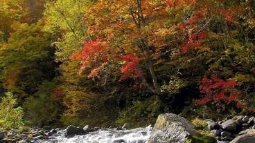 観光スポット / 11