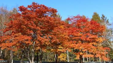 施設からの眺望 / 4
