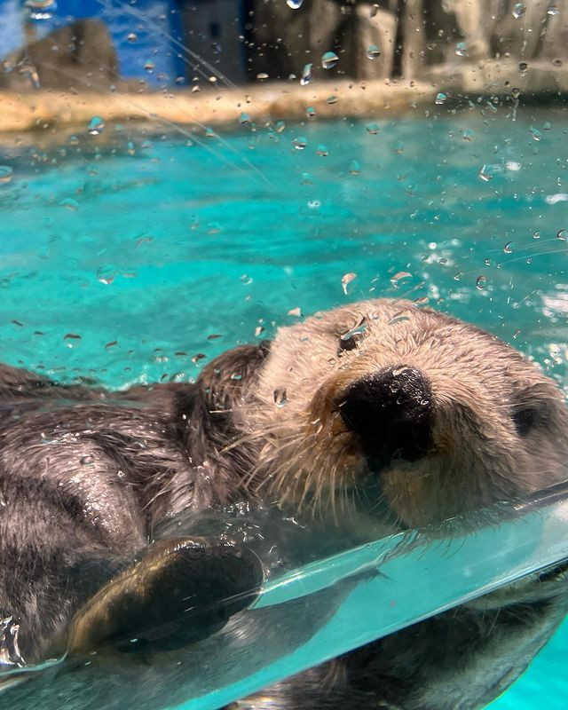 chihiro_s.k.rさんの写真 / 1