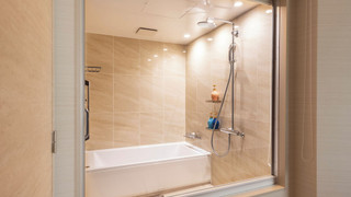 ジュニア スイート Type-A 禁煙 (ラウンジアクセス付き)