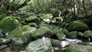 観光スポット / 4