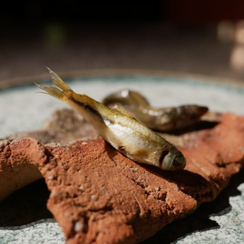 「SOWER」 料理 206134491 