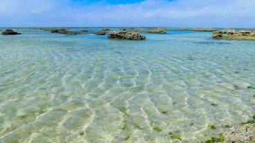 施設からの眺望 / 25