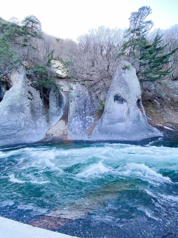 shihoko0922さんの写真 / 3