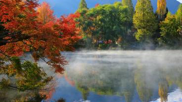 金鱗湖 紅葉 / 4