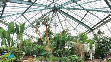 函館市熱帯植物園 温室 / 5