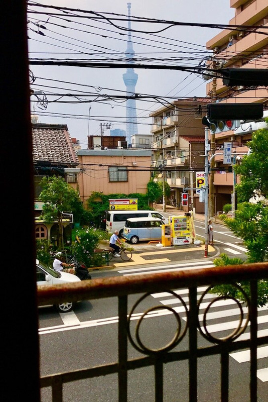 施設からの眺望