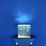 popcorn2355さんの写真