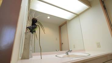 バスルームのシンク / 13