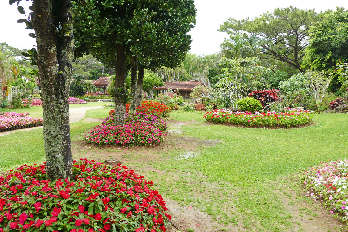 宮古島市熱帯植物園 園内