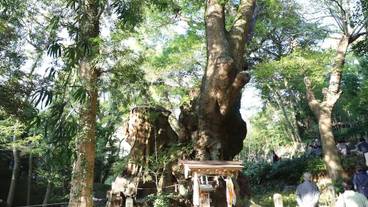 観光スポット / 5