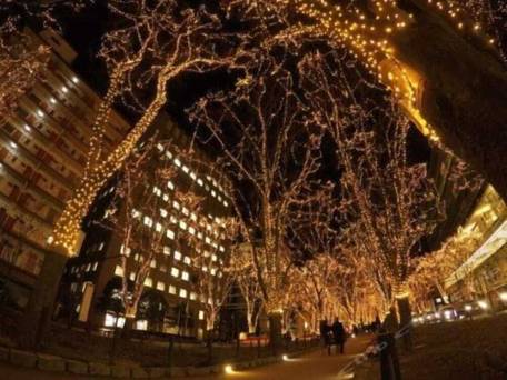 ホテル定禅寺 / 5