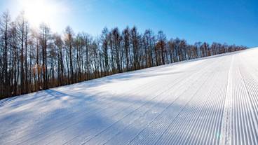 スノー スポーツとスキー / 7