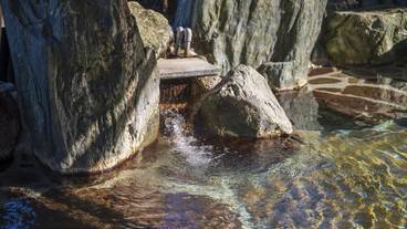 温泉 / 1