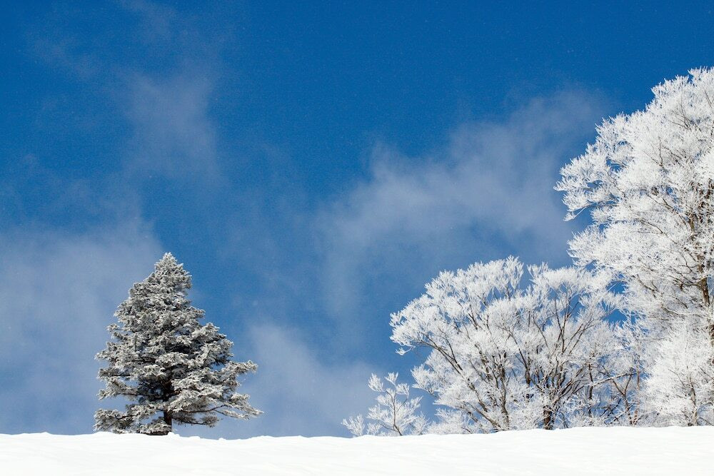 スノー スポーツとスキー