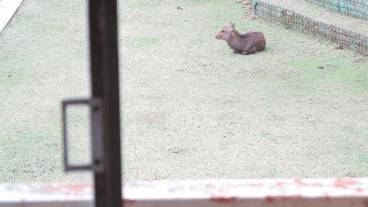 施設の敷地 / 21