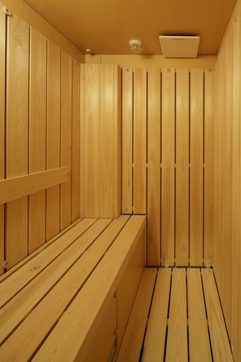 ミストサウナなら短時間でぽかぽかに。客室から見える富士山の姿に感動！4756282