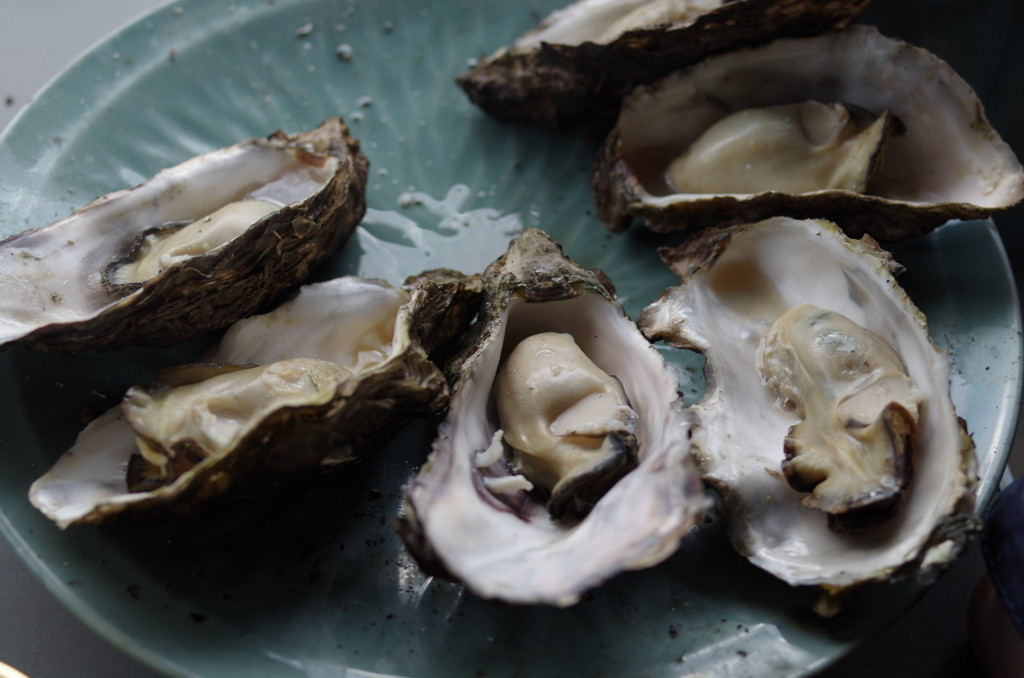 冬に美味しい「牡蠣」と、夏に美味しい「穴子」が松島の二大名物1606592