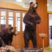 十勝川温泉 笹井ホテル（北海道 旅館） / 2