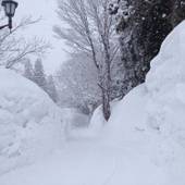 赤倉温泉 赤倉ワクイホテル（新潟県 旅館） / 3