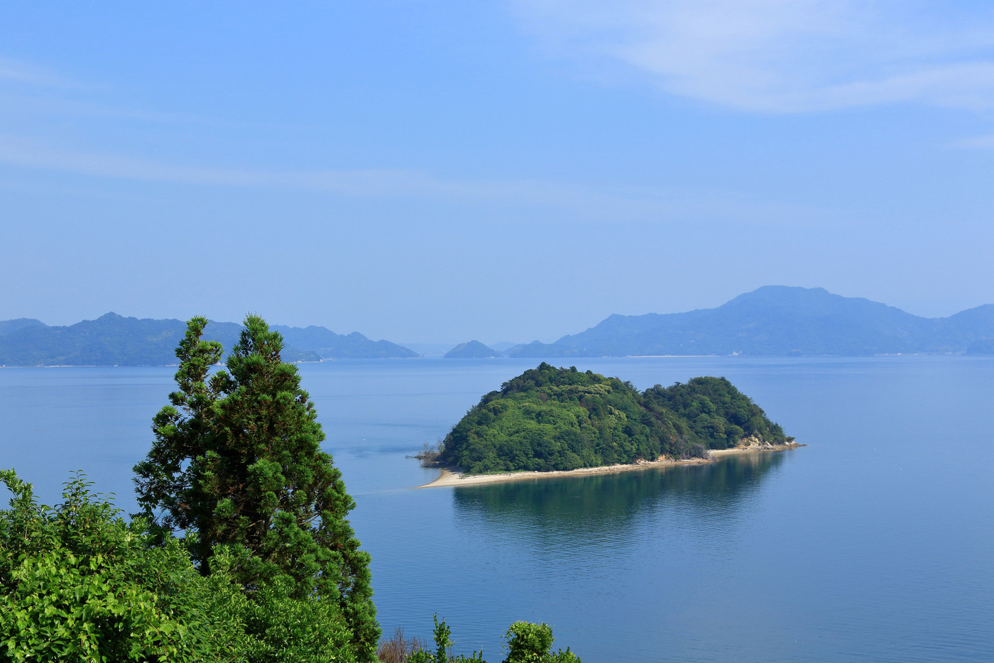 ハート島を眺めるトトロ