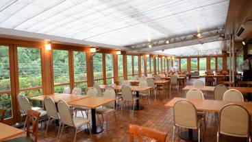 家族向けレストラン / 13