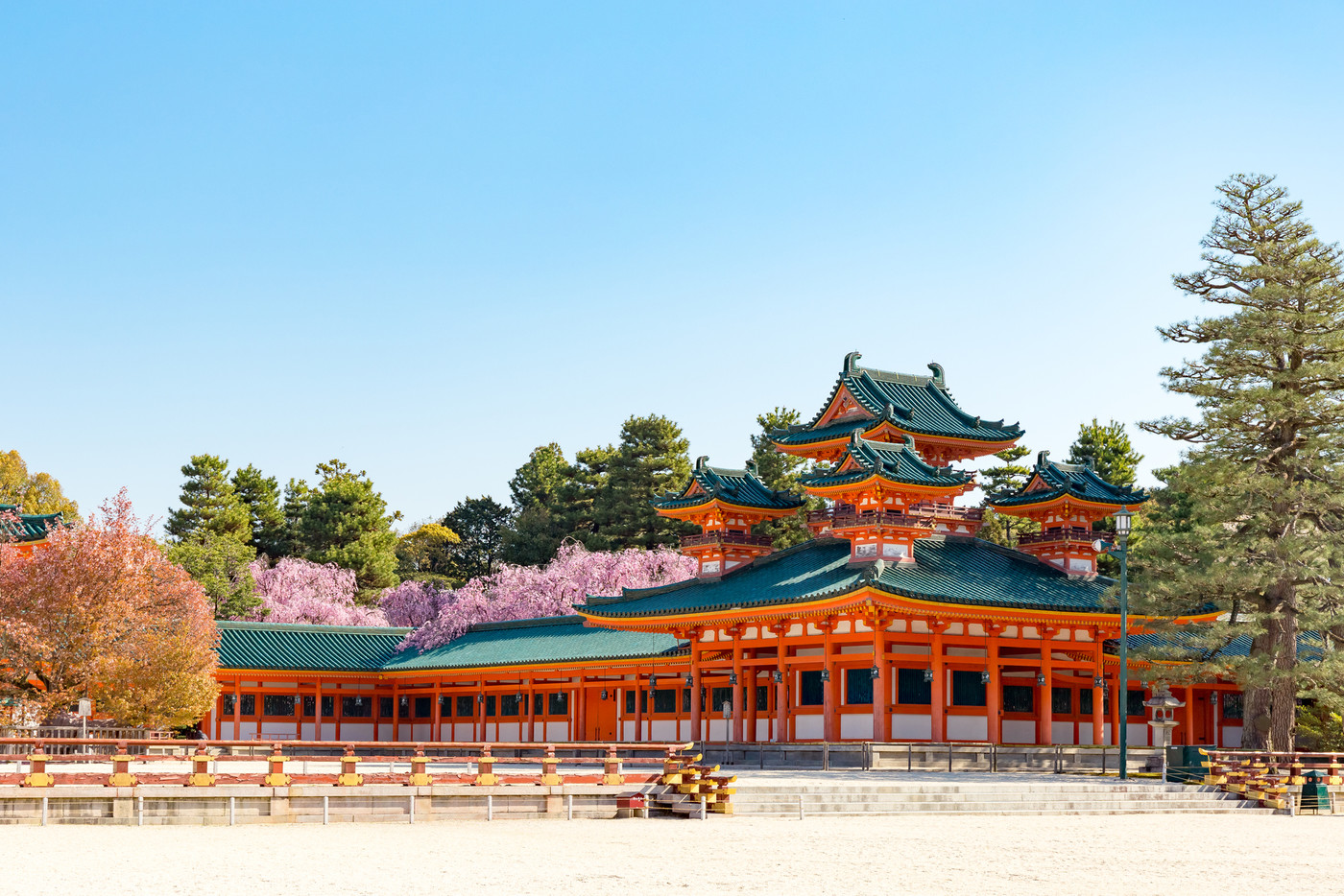 平安神宮の枝垂れ桜