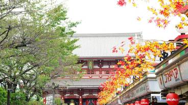 観光スポット / 14