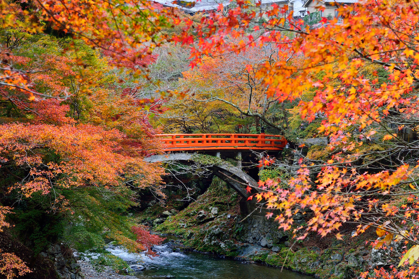 錦雲渓 指月橋 三尾 京都