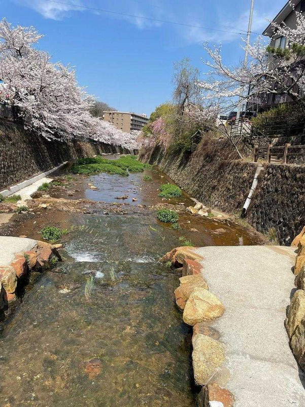 bichon_monetさんの写真 / 2