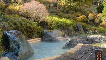 男女別大浴場 露天風呂 / 5