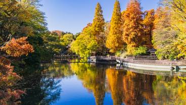 井の頭恩賜公園 / 1