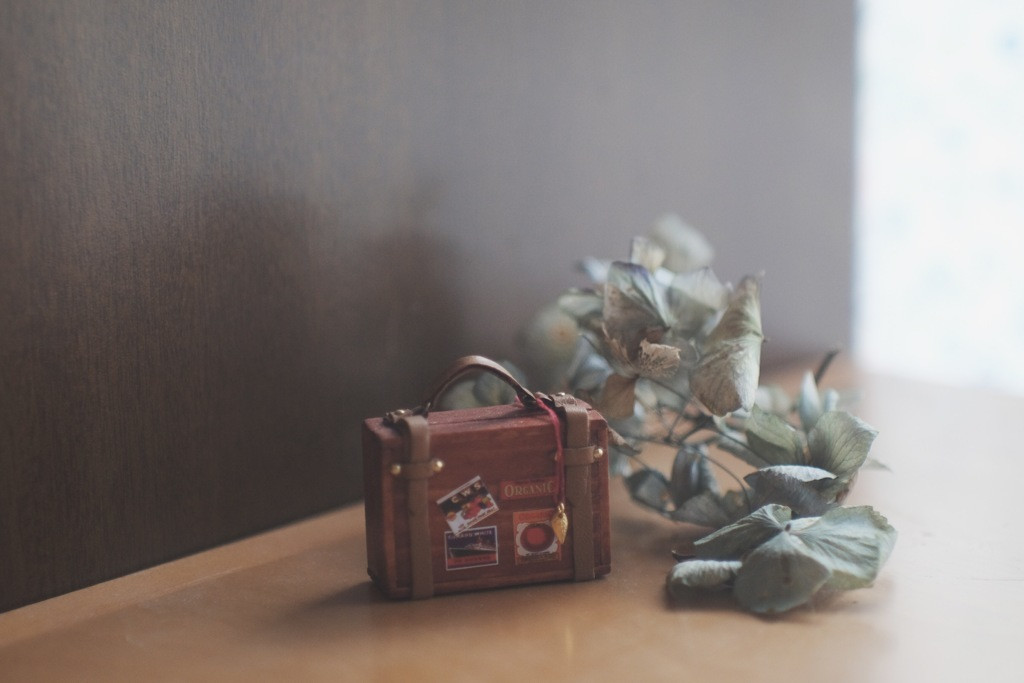 浦安エリアのコインランドリー&ランドリーサービスのあるホテルで身軽に旅を楽しみましょう♪4089777