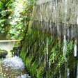 湯の花温泉 松園荘 保津川亭