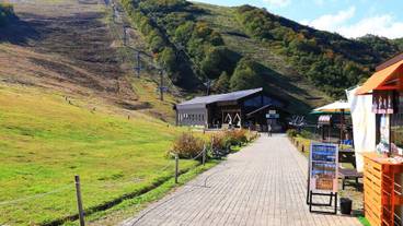 施設の敷地 / 26