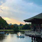 古都奈良の宿 飛鳥荘（奈良県 旅館） / 3