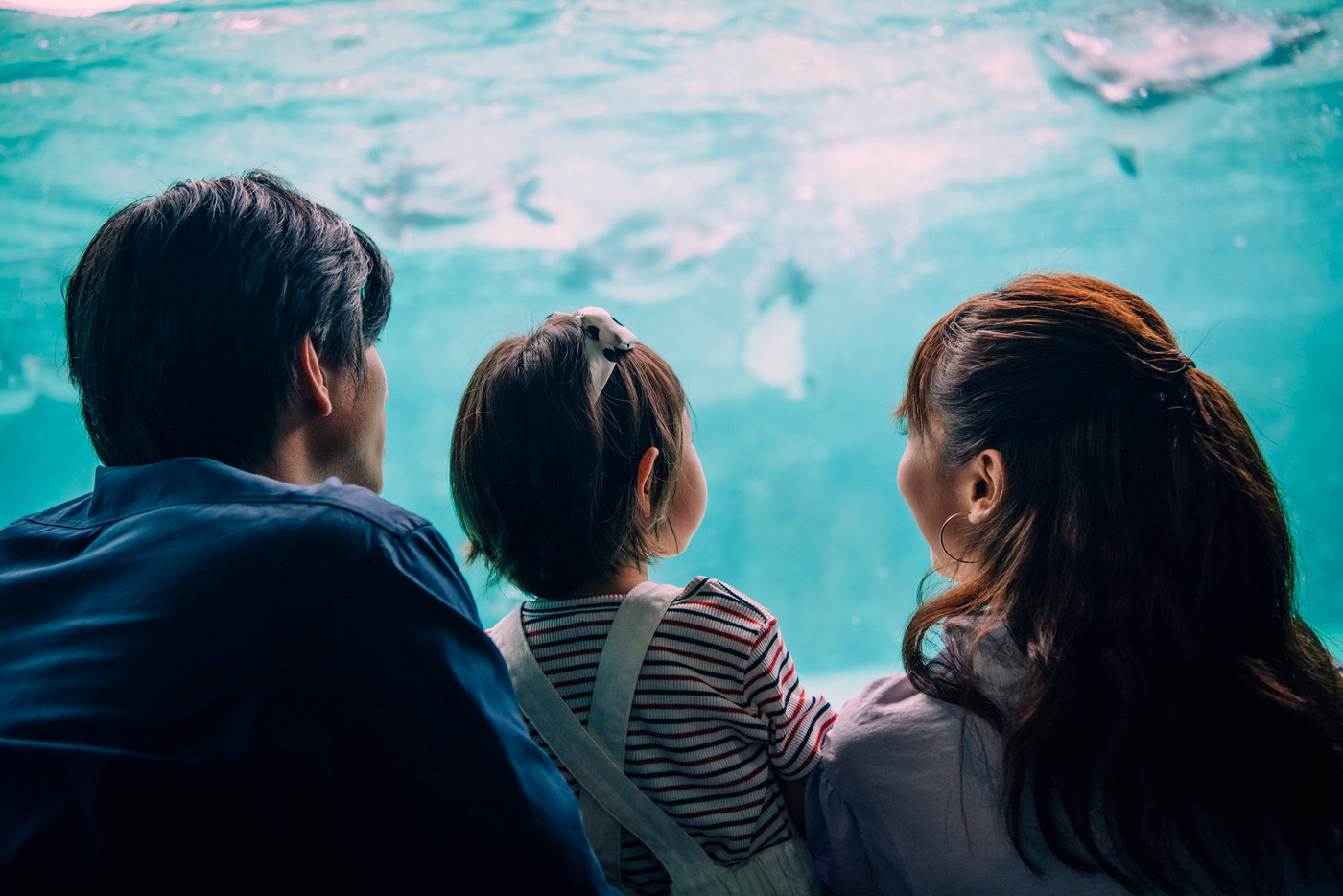 水族館　ファミリー