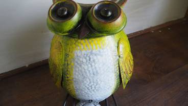 内装の詳細 / 11