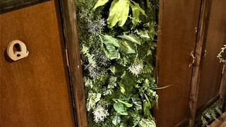 ジュニア ダブルまたはツインルーム シングルベッド 2 台 禁煙 共用バスルーム