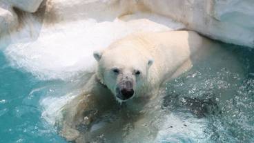 観光スポット / 8