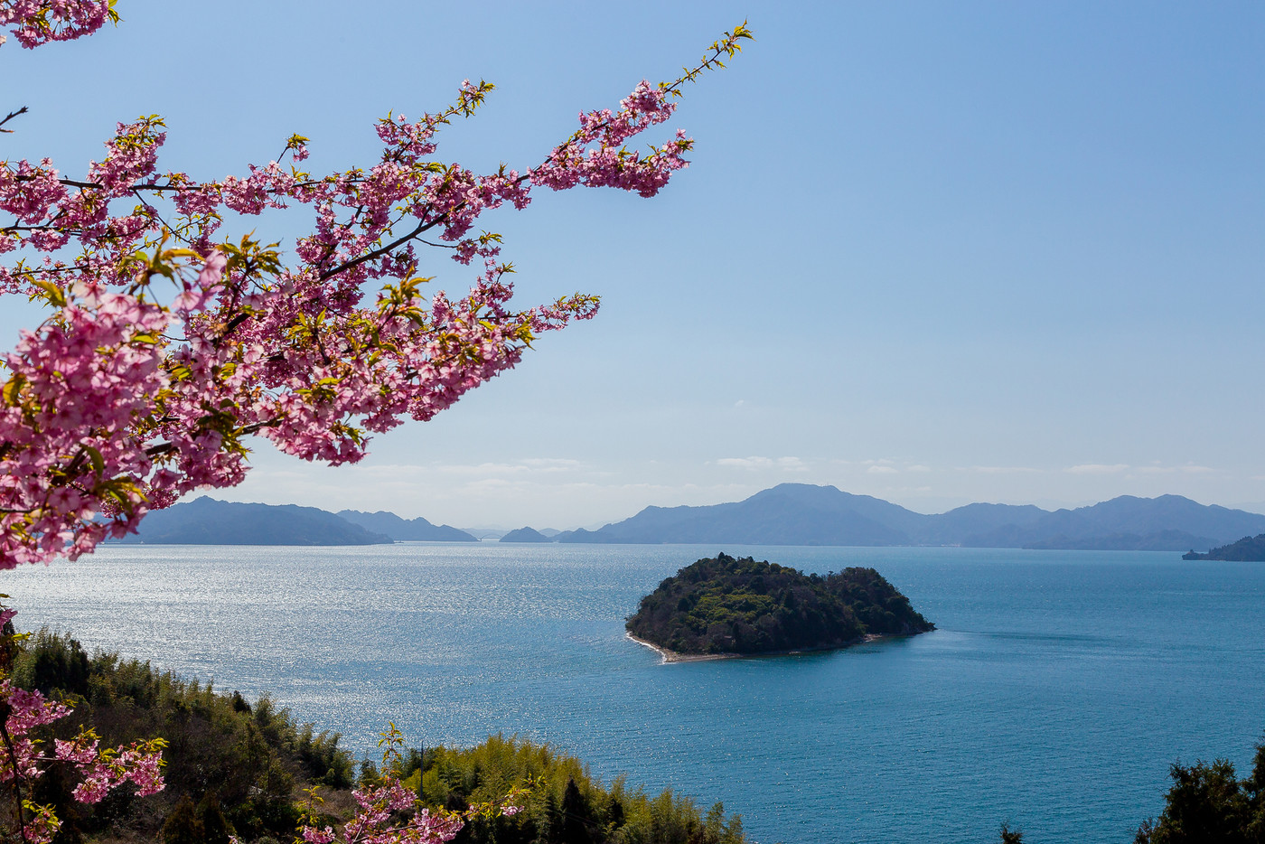 大芝島