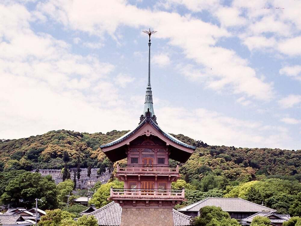 施設からの眺望