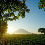 ニセコの温泉でぽかぽかあったまろう♪温泉付きおすすめホテル7選