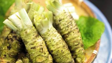 食事・飲み物 / 21